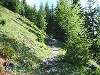 The track up to Plattenkopf