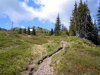 Way up to haiderbergkogel