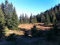 IMG_0871.jpg