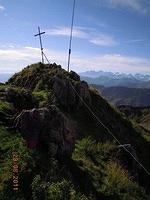 summit Wildseeloder